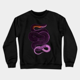 serpent,cobra,reptile,viper,venom,lizard,rattlesnake,king cobra,dragon,hydra,poison,venomous,plumber's snake,pythonidae,pythons,auger,python,squamata,serpentine,worm,big,ophidian,rattlesnakes,medusa,snakebite Crewneck Sweatshirt